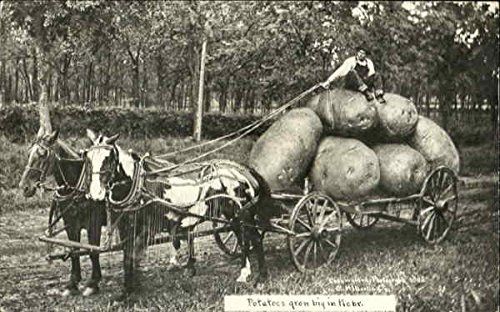 Postcards of Yore